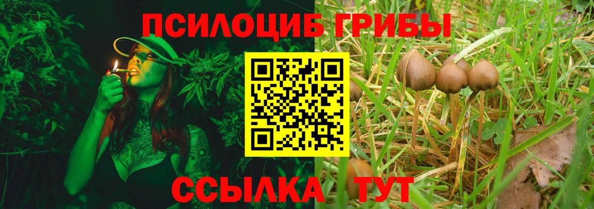 Псилоцибиновые грибы мухоморы Магадан